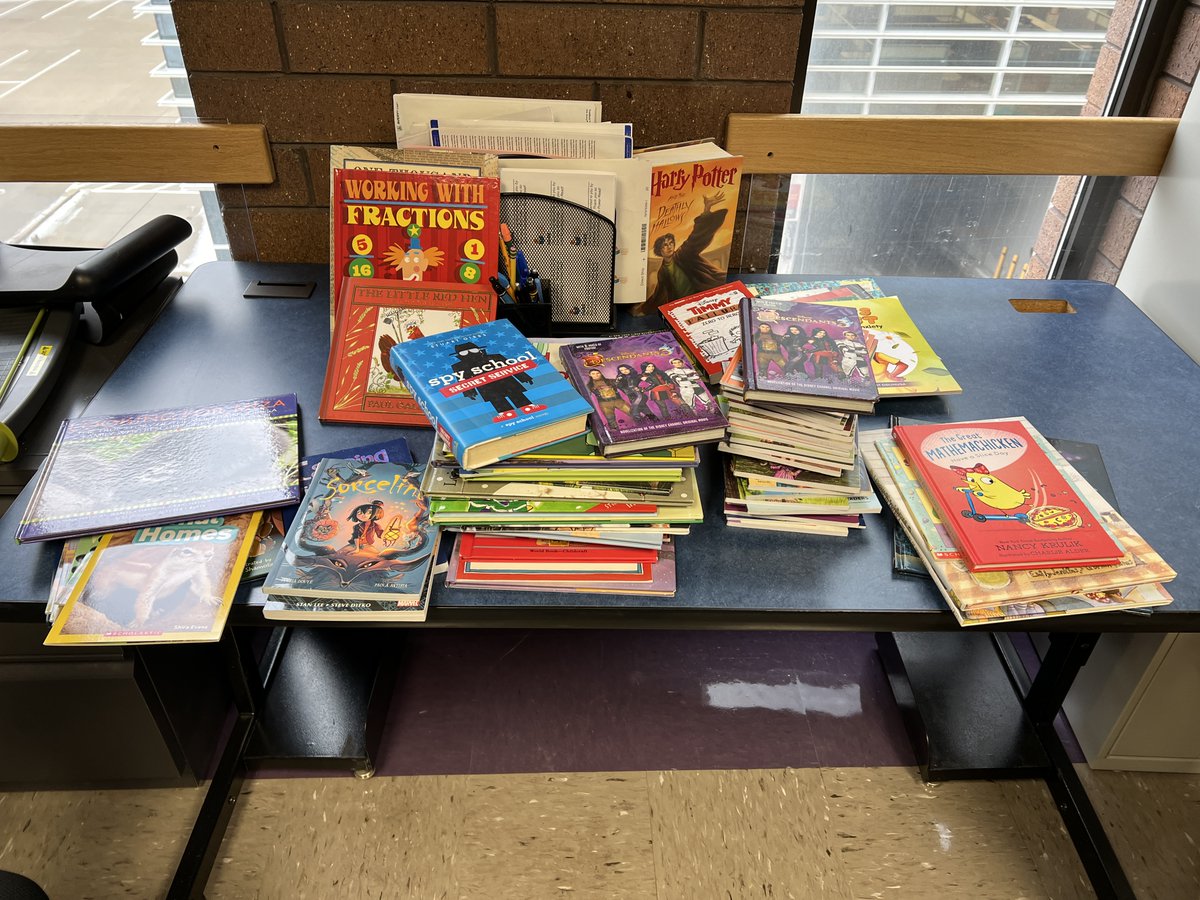 Another great shipment of books just came in from <a href="/hindislibraries/">Hindi's Libraries</a>. We look forward to getting these into the hands of our kids soon. Thank you!