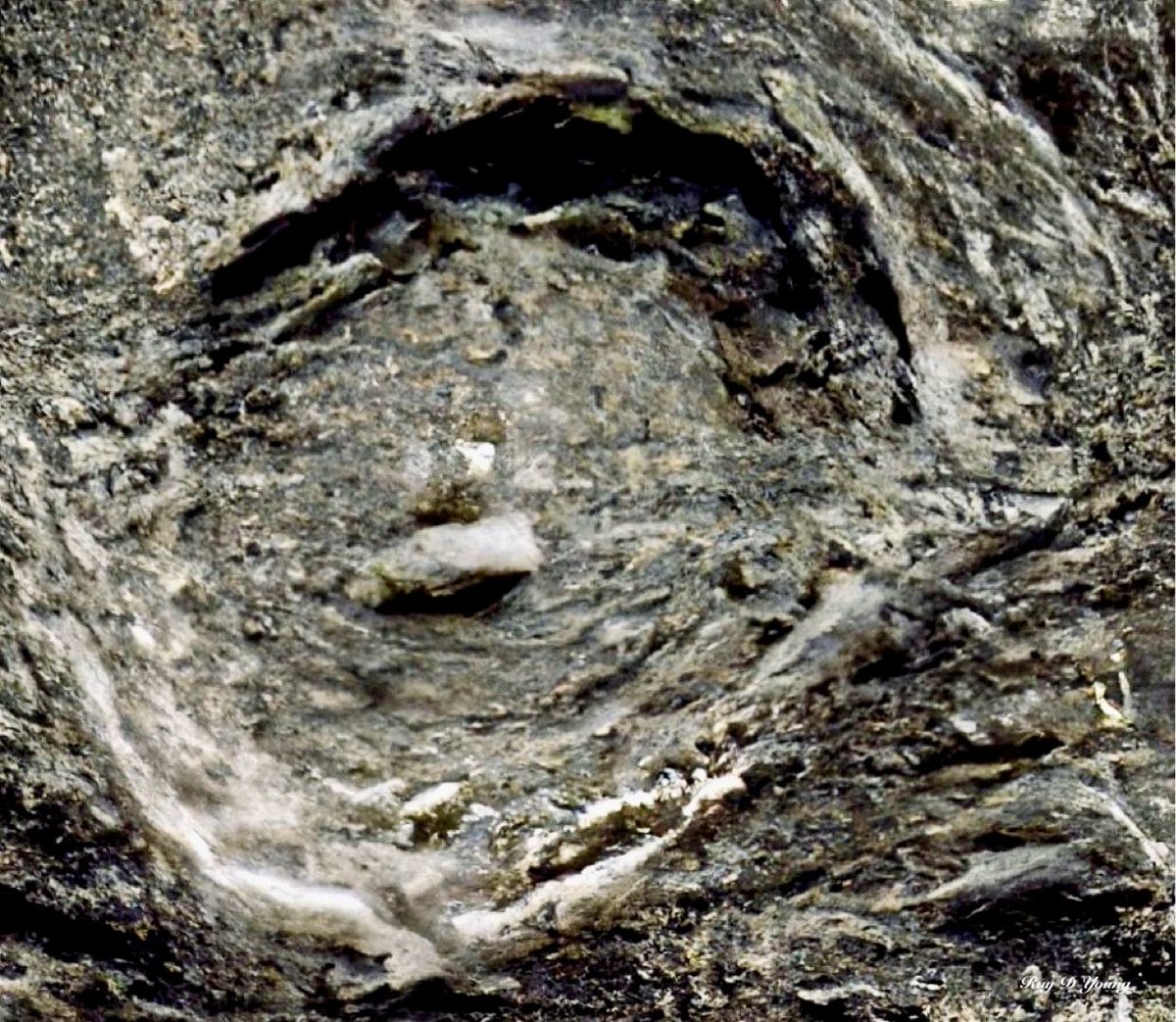 Fake Astropix tweet media