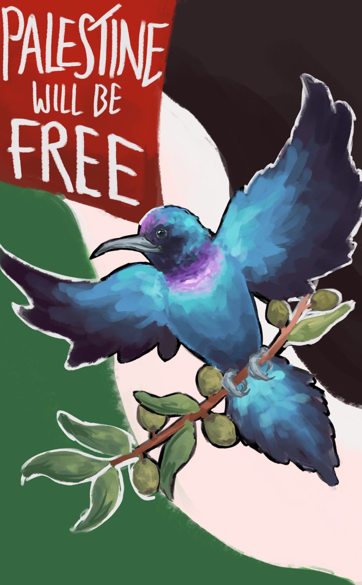 From the river to the sea 🍉

[ #FreePalestine #CeasefireNOW #PalestineWillBeFree ]