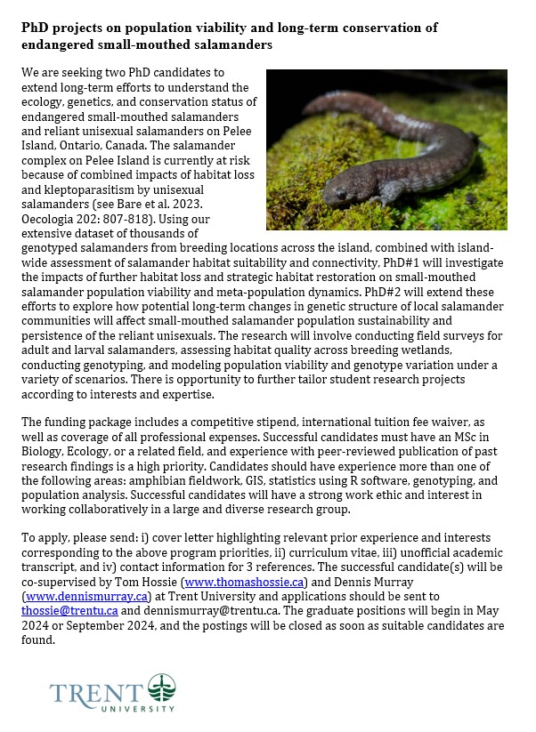 We are seeking two PhD candidates to extend long-term efforts to understand the ecology, genetics, and conservation status of endangered small-mouthed #salamanders and reliant unisexual salamanders on Pelee Island, Ontario, Canada. Please share & reach out if you are interested!