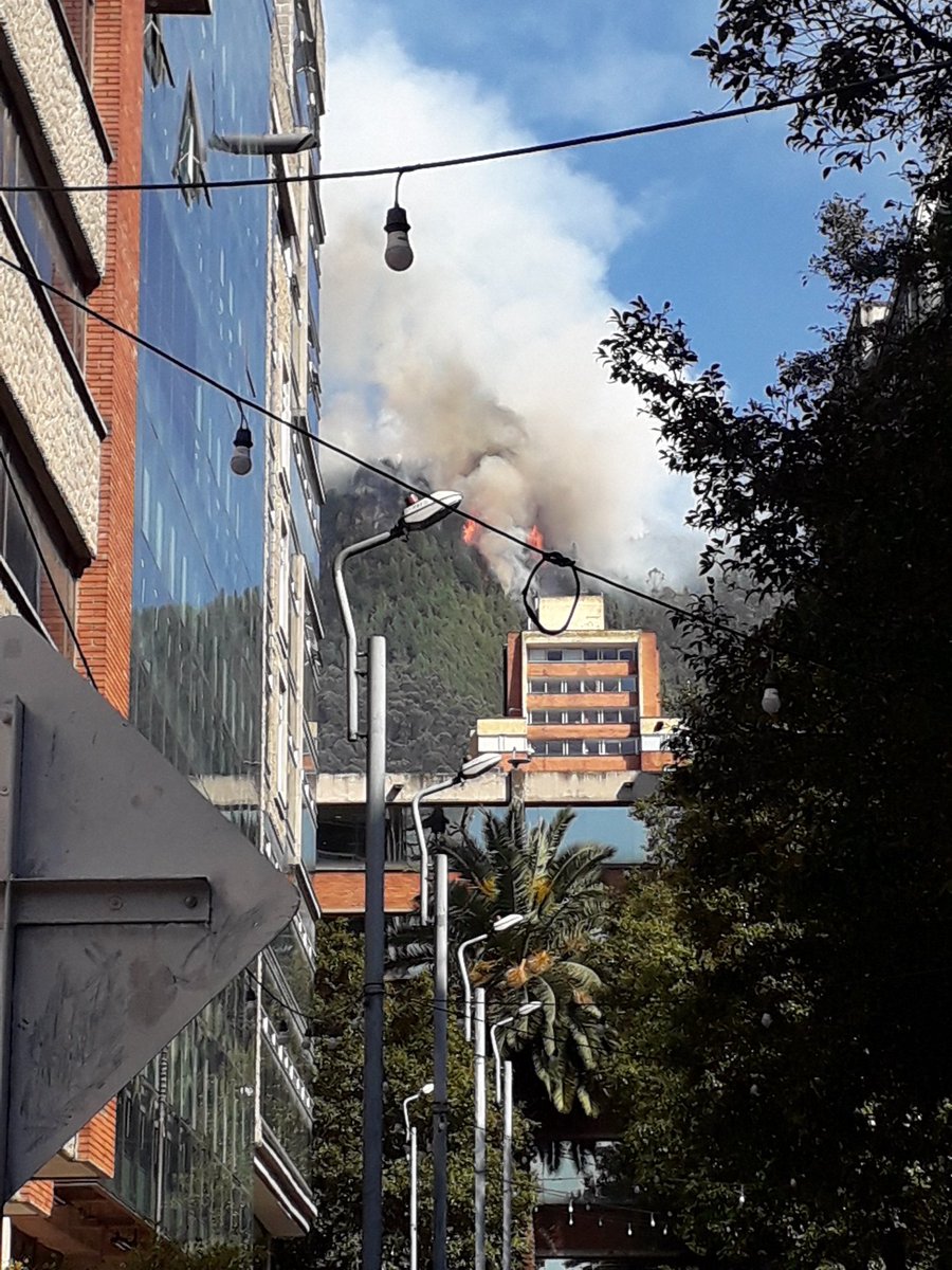 El cerro en llamas, el monte del fuego. Me duele mi Bogotá.
#CerrosOrientales #IncendiosForestales