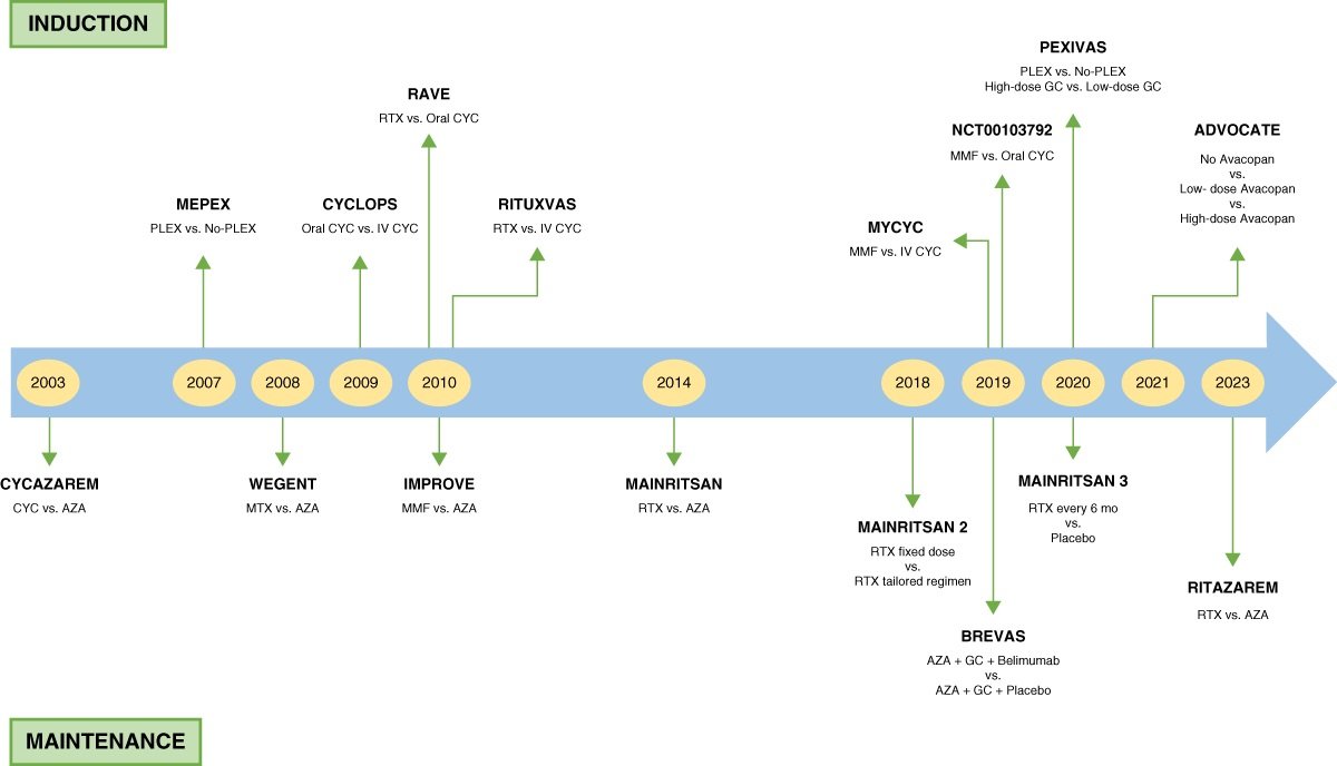 Significant progress in understanding the immunopathogenesis of ANCA-associated vasculitis (AAV) has enabled development of targeted immunotherapies. This Review describes the evolution of treatment of AAV, particularly for patients with kidney involvement bit.ly/KID0289