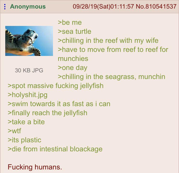 Anon is a Seaturtle