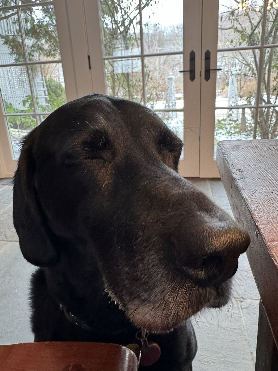 Augie (Shadow 🌈) tweet media