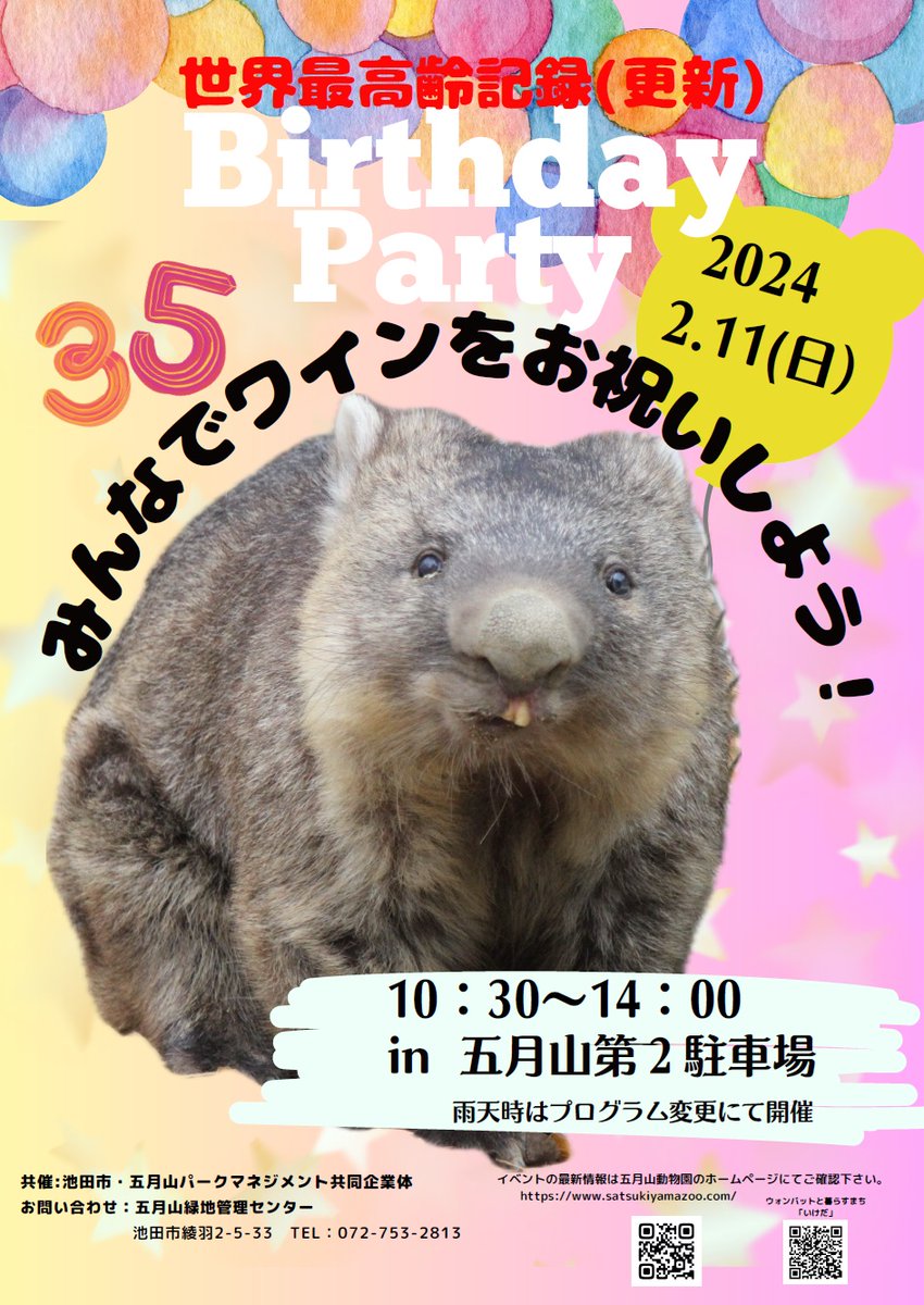 おまたせいたしました！ウォンバット「ワイン」の世界最高齢をお祝いするお誕生日会のポスターが出来上がりました♪2月11日(日）10：30～14：00五月山第2駐車場にて…🚙　みんなで「ワイン」をお祝いしましょう🎉
#五月山動物園　#ウォンバット　#ワイン