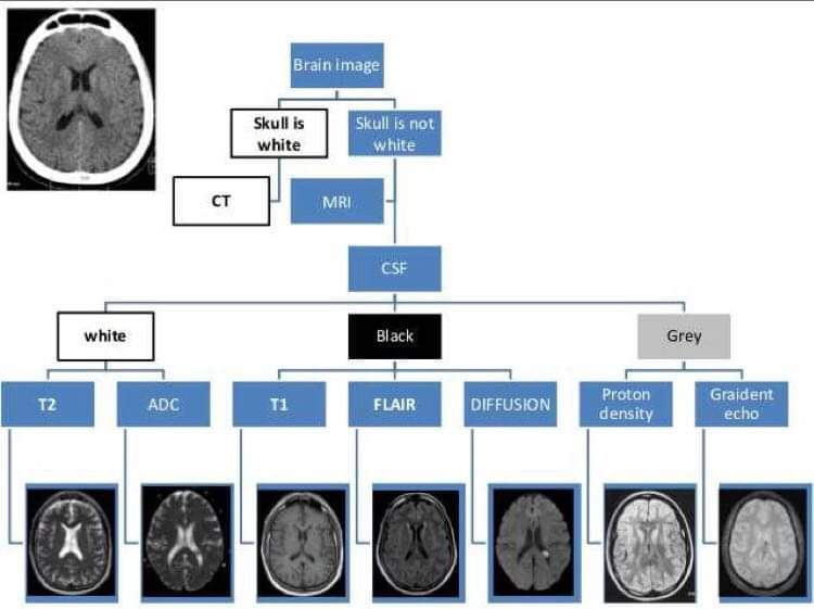 Neurosurgery Cocktail (@BipinChaurasia_) on Twitter photo 2024-01-25 02:15:43