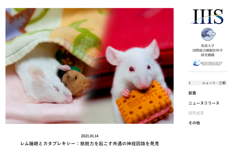 筑波大学国際統合睡眠医科学研究機構のプレスリリースに掲載されている画像が大変に可愛かったので動物好き各位に共有します
wpi-iiis.tsukuba.ac.jp/japanese/news/…