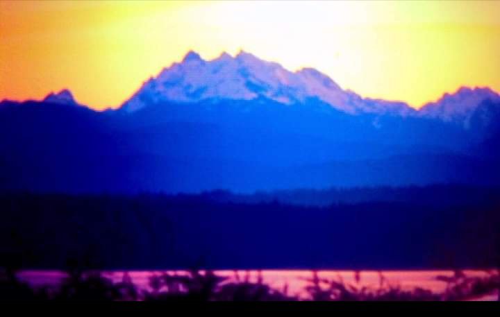 Wishing all #MyTwitterFamily 🐦❄️🩷
a blessed and magical evening! ❄️🪄🔮🙏🌟
Love you all, Tina☘️🐦❄️🩷xo xo xo

📸me
#CascadeMountains
#WhidbeyIsland 🇺🇲