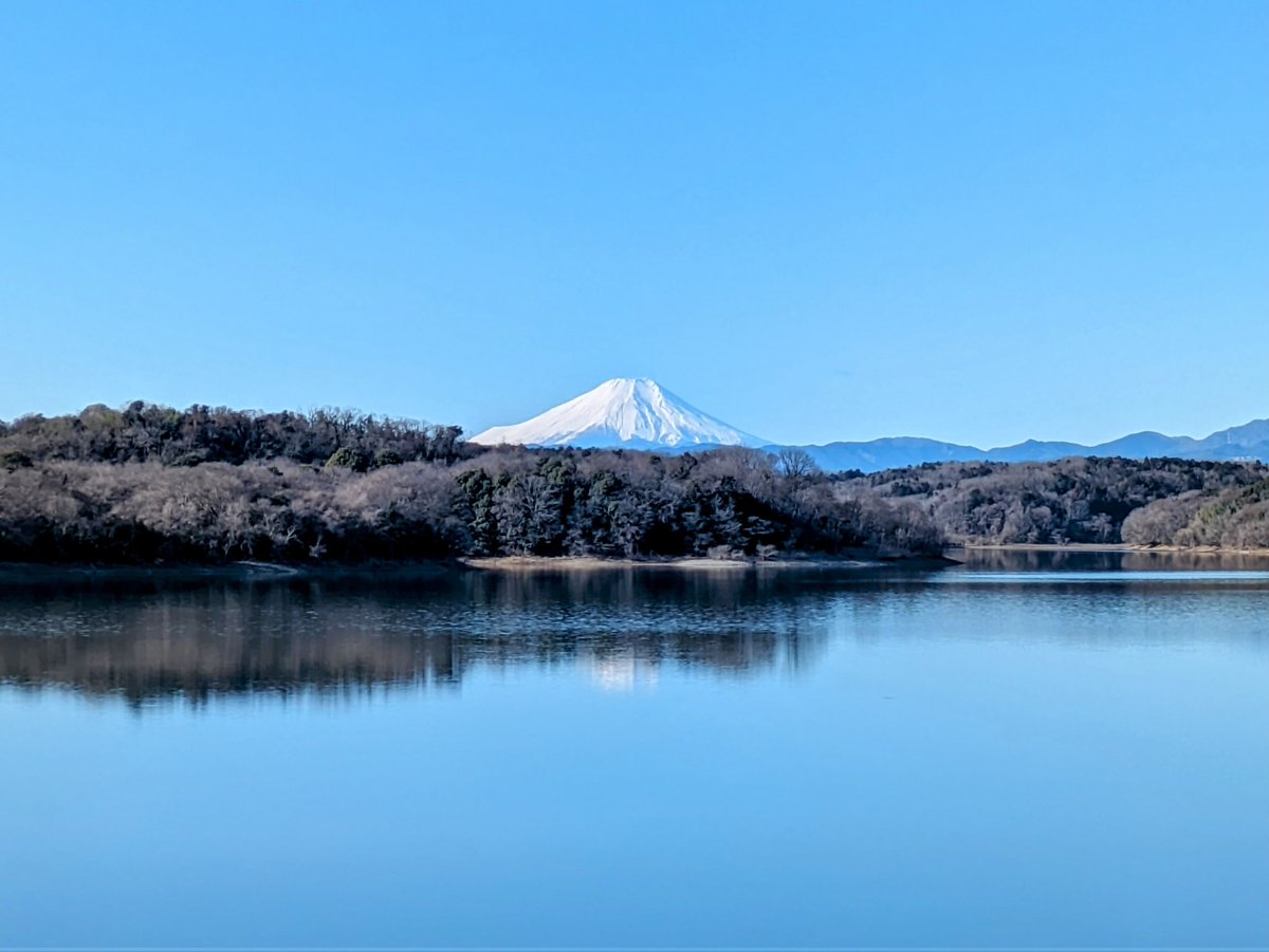 Final morning commute to Tokorozawa campus in west Tokyo. A bittersweet day. Lots of memories, experiences, and lessons. Thank you Japan. 😊🇯🇵👍🗻