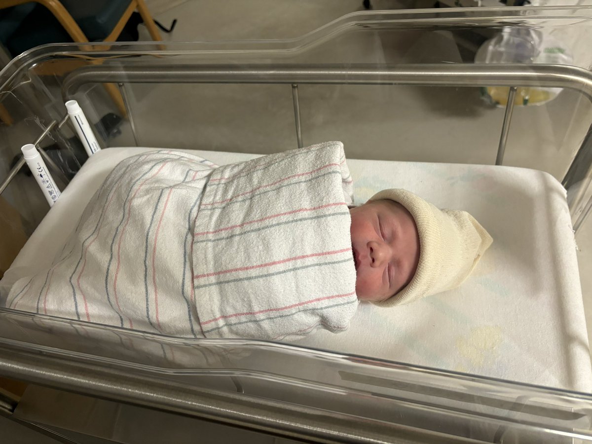 Meet Gabriel, the newest member of our family.