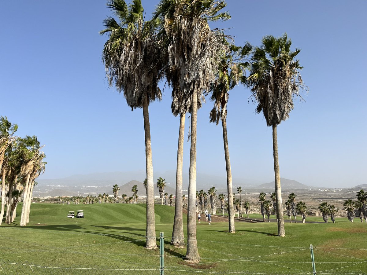 Jose Carneiro (@josecarneiroo) on Twitter photo This views from one of our terraces at #RoyalTenerifeCountryClub😍 Golf is on our veins! ⛳️☀️🏌🏽🏌🏻♀️<a href="/SanMiguel_CL/">Municipalidad de San Miguel</a> @visit_tenerife This views from one of our terraces at #RoyalTenerifeCountryClub😍 Golf is on our veins! ⛳️☀️🏌🏽🏌🏻♀️<a href="/SanMiguel_CL/">Municipalidad de San Miguel</a> @visit_tenerife