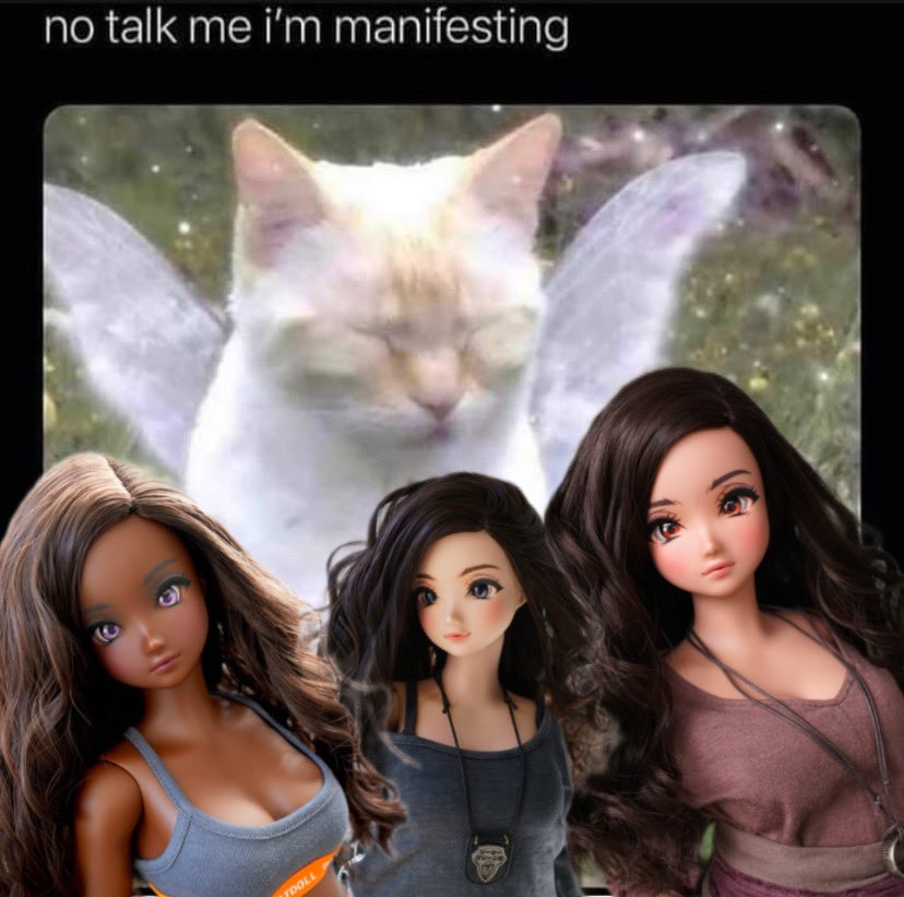 misclae's tweet photo. @SmartdollLand Manifesting so hard it hurts https://t.co/E8IcI9reVJ