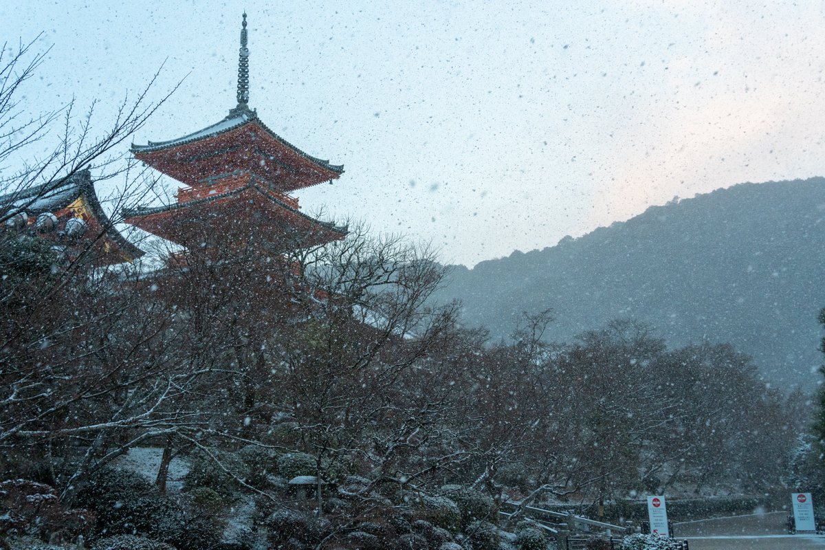 nobo_kyoto's tweet photo. 雪の清水寺は何度見ても圧巻。
1cmくらい積もってるので日中も楽しめそうです☃️
2024.01.25 https://t.co/9DmQBKjGFQ