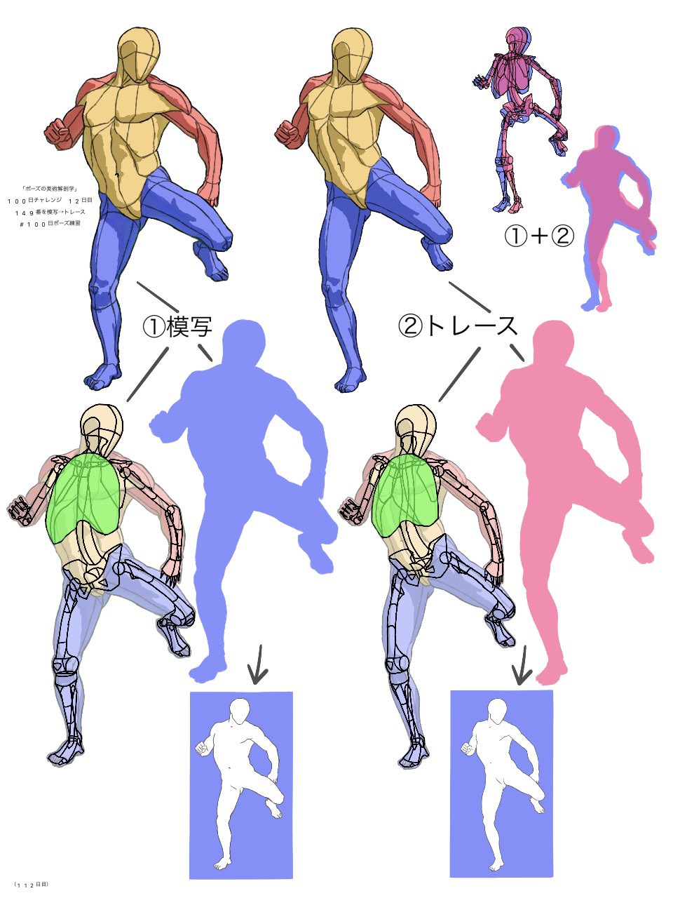 ポーズの美術解剖学 ポーズの美術解剖学 | SBクリエイティブ