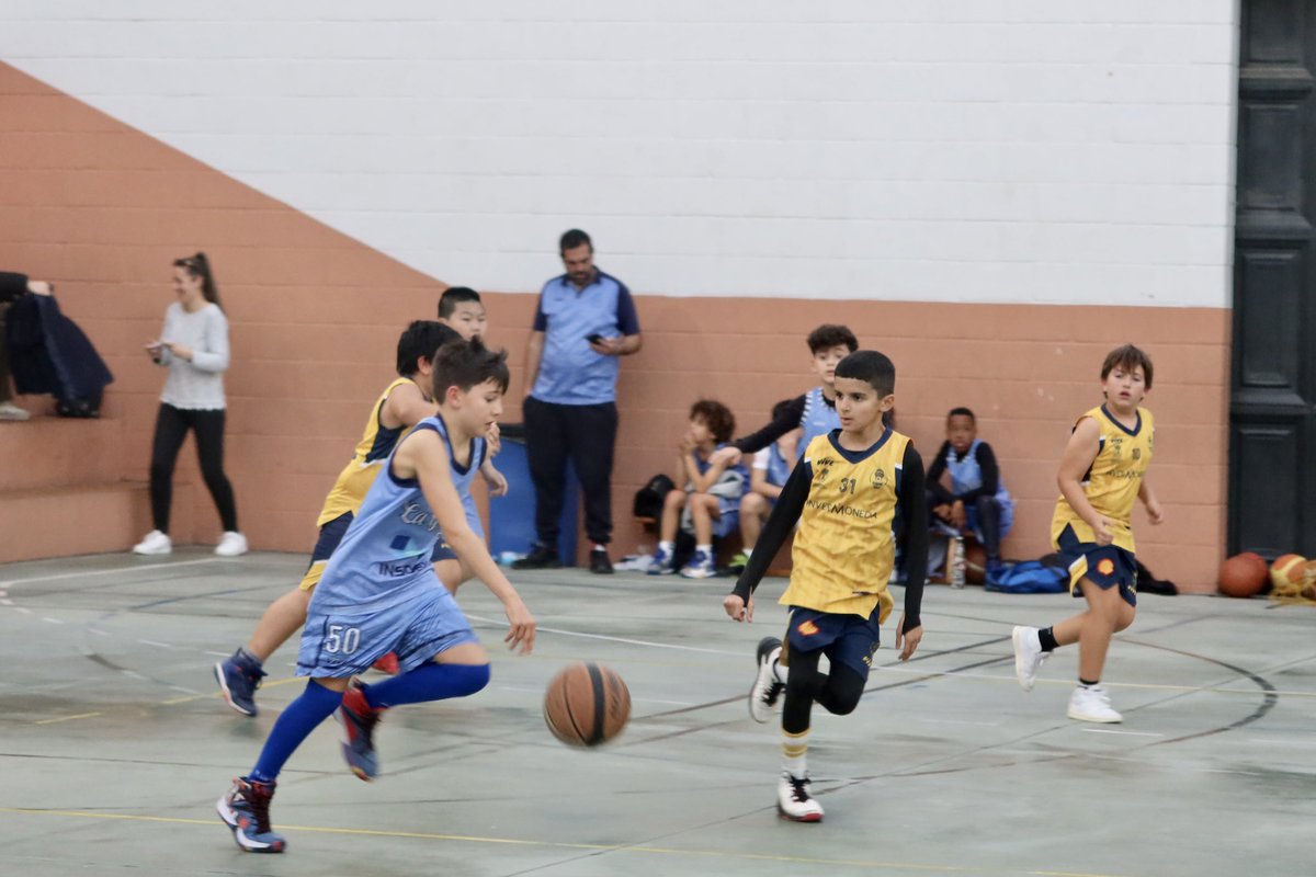 adecgoleta's tweet photo. 📌 RESULTADOS | Liga @FAB_Malaga | Fase previa

😊 Mini’13 Masculino 5️⃣6️⃣ - 1️⃣6️⃣ @_CBAT_ 

Pues gran partido de los chicos que casi nos mete en fase Campeonato. Un objetivo que parecía imposible a principios de temporada. Buen trabajo‼️

#Nohayquiennospare💪🏻
@cevhcsur https://t.co/4hyT7n4n1I