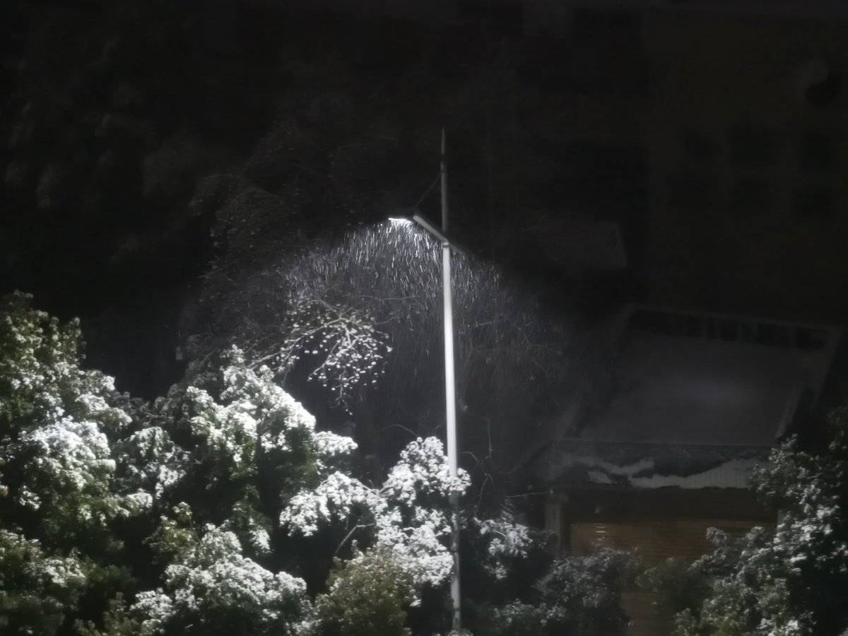 下雪了，也emo了
