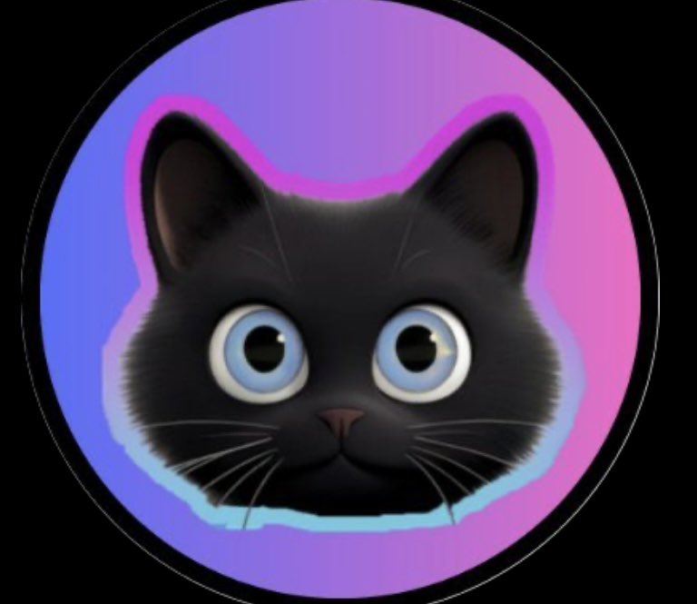 LEIA - The Solana Founder’s Cat 🐈⬛ tweet media