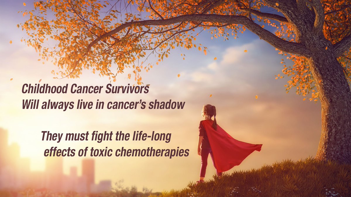 JoeBaber1's tweet image. The #CAC2SurvivorshipToolkit is an essential resource for childhood cancer survivors and families to empower them with information and guidance throughout their survivorship journey. cac2.org/impact-areas/s… @cac2org @HappyQuailPress @LisaWardspeakup @mary_lckc @JanHalash