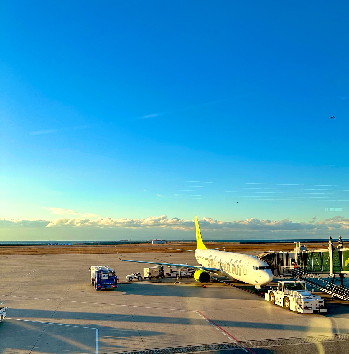 gogo_745's tweet photo. 空、多めで。
#ソラシドエア #早めがお得
#solaseed
#旅好き #ビール女子 #筋トレ女子 https://t.co/qcmWTJSUqn