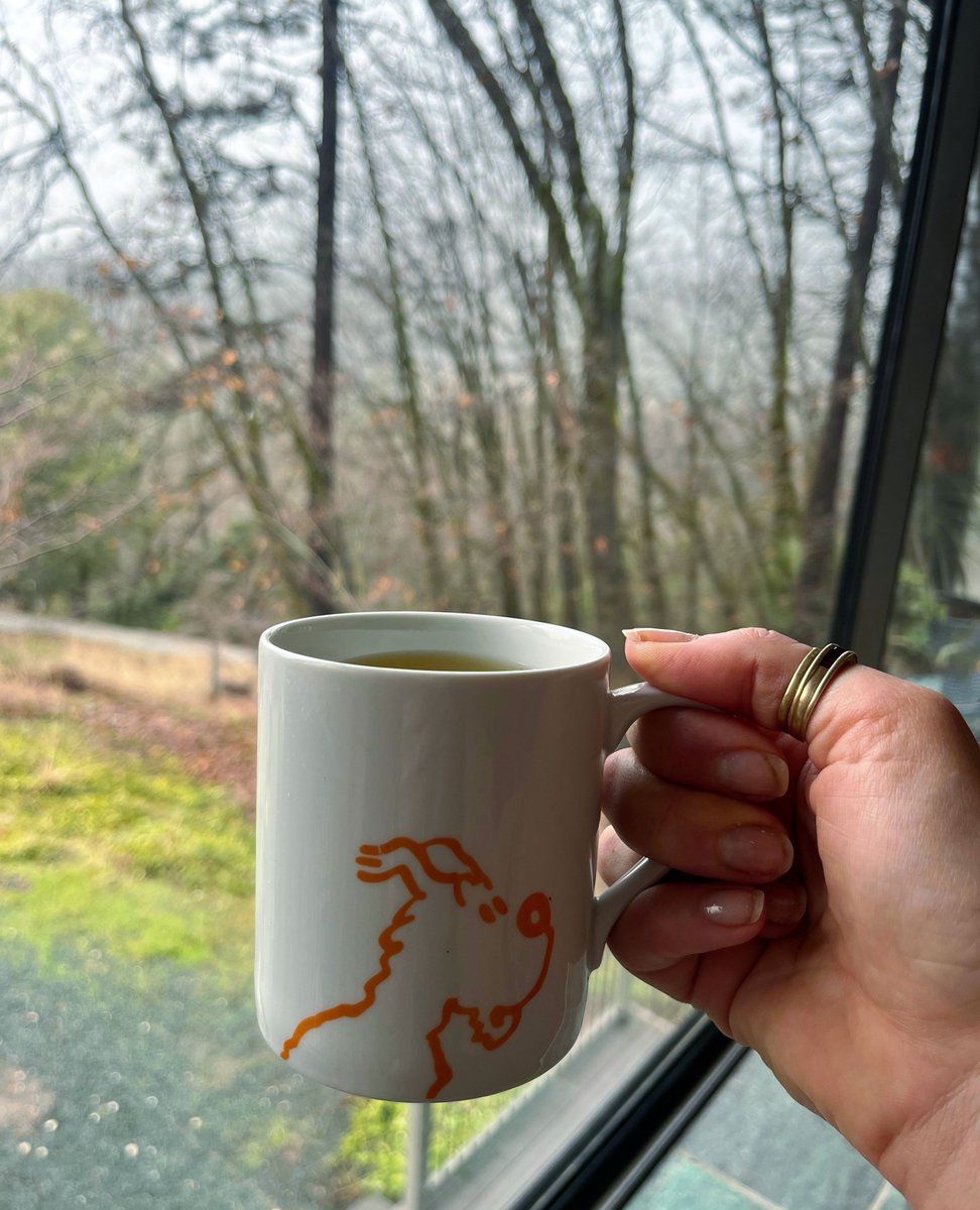 Rainy days with a warm cup of tea and our beloved Snowy 🍃🍵🌧☔💦 ➔ bit.ly/3CDDm9n

#sausalitoferry #tintincomics #sausalito #tintin #tintinfans #sausalitoca #tintinfan #theadventuresoftintin #hergé #Tintinimaginatio #cozyseason #tintinetmilou #milou #coffeebreak