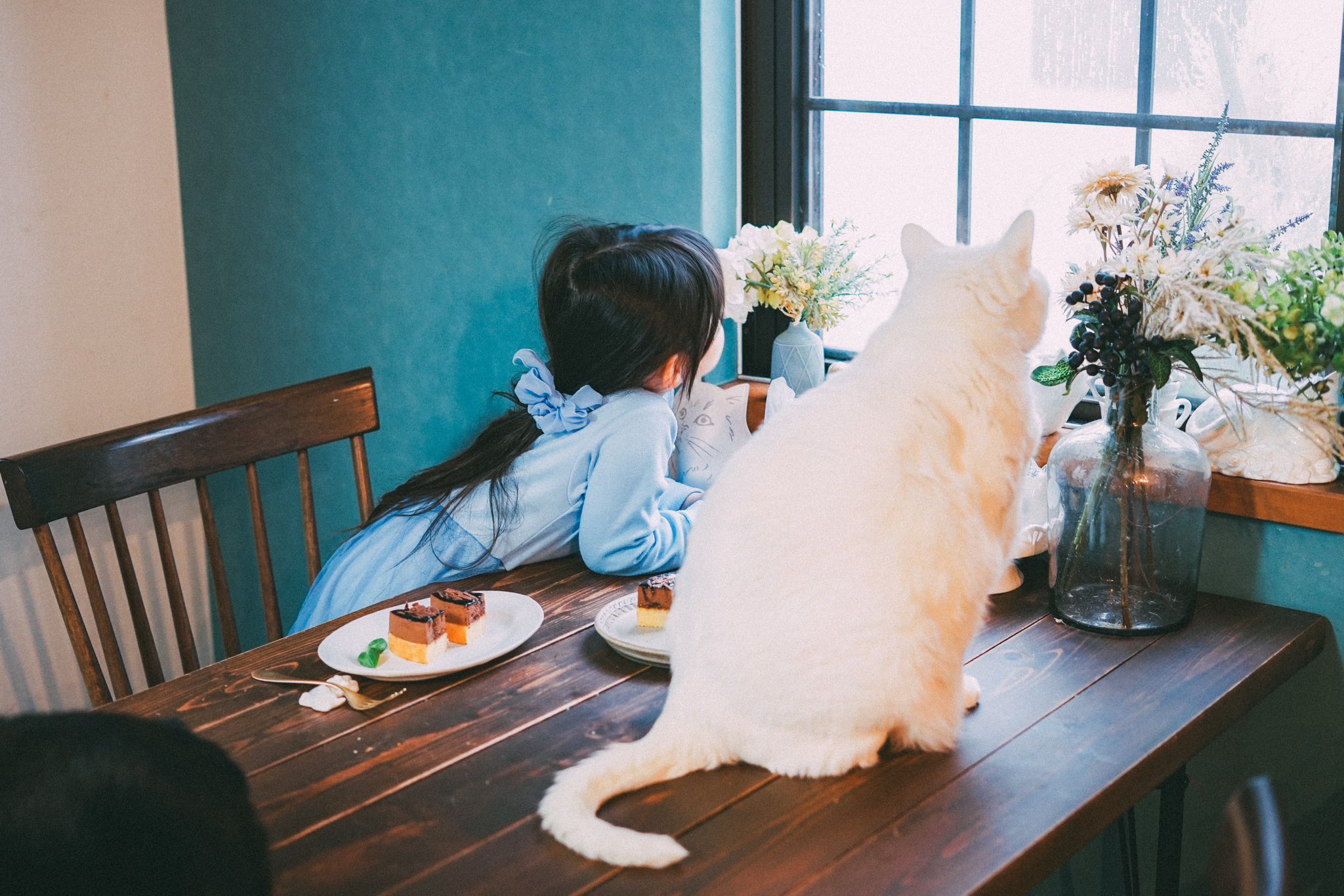 白猫夏鬼(しらねこなつき) on X: 