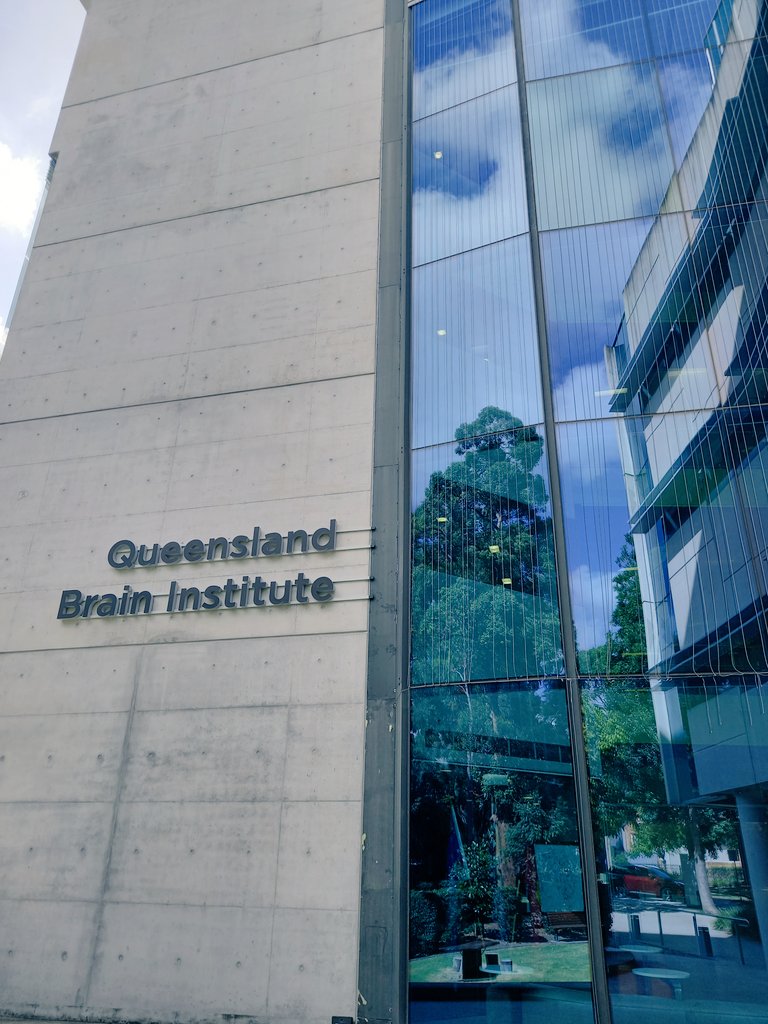 The @DehorterLab @QldBrainInst offers a #PhDposition to work on an exciting project on interneuron #development and #autism. MORE INFO 👉shorturl.at/pyzFP 👉shorturl.at/mqBM6 Deadline: Feb 10th. Please RT! @AusNeuroSoc @ANZSCDB @worldwideneuro