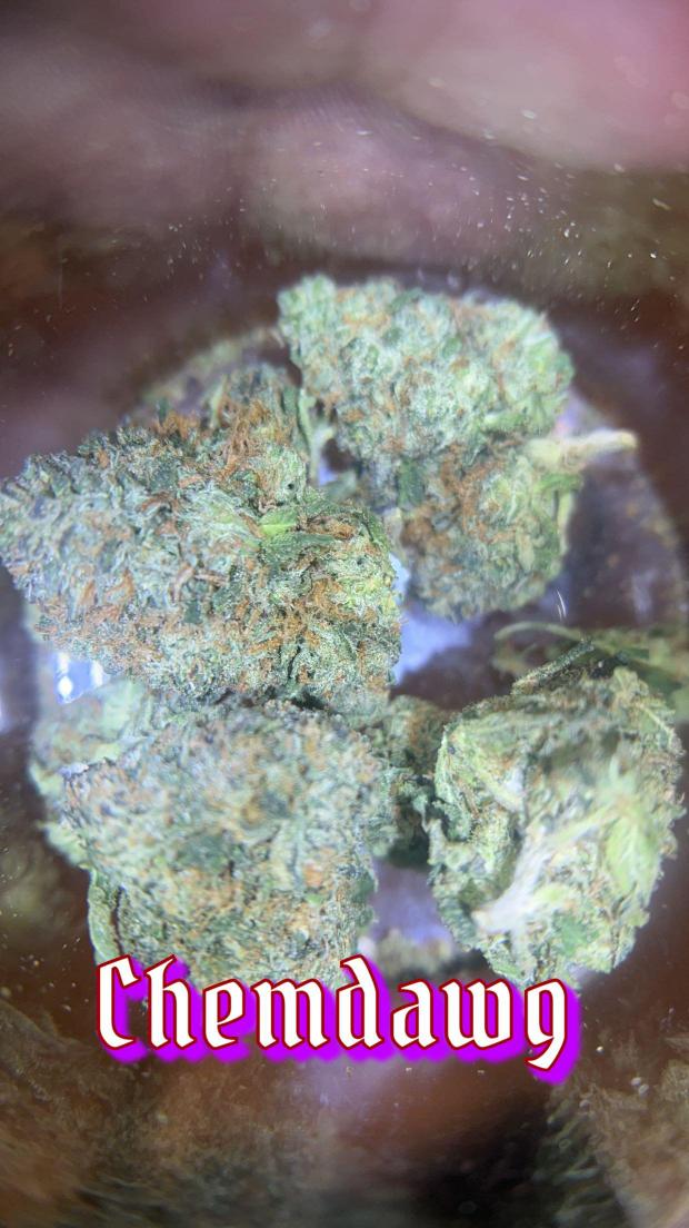 PlugManFinest's tweet image. Chemdawg and Jack frost 1 pound each  300$ DM please so bullshit people