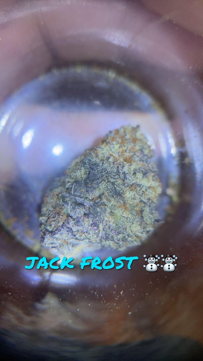 PlugManFinest's tweet image. Chemdawg and Jack frost 1 pound each  300$ DM please so bullshit people