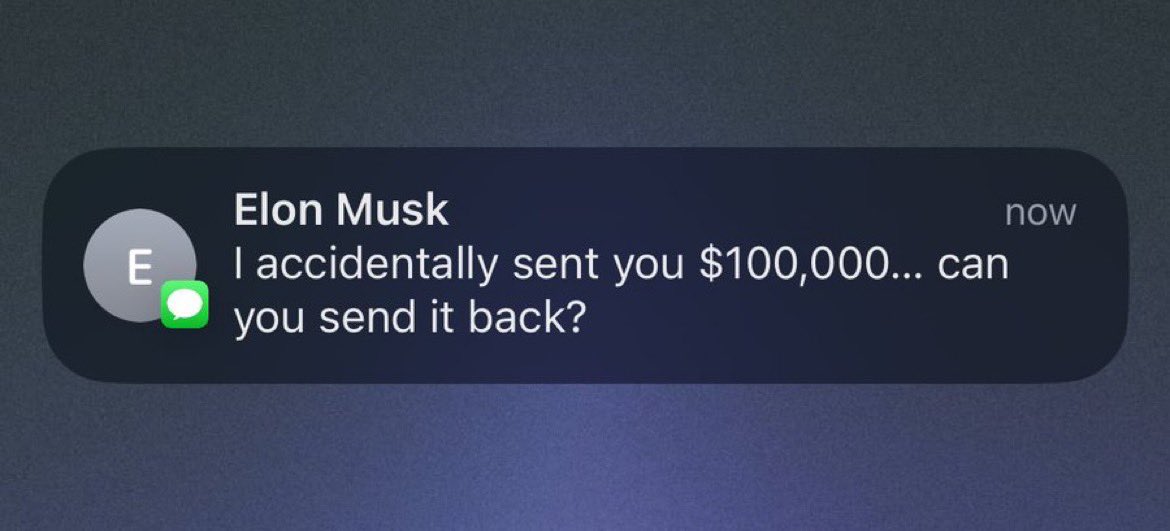 bears 🐻 tweet media