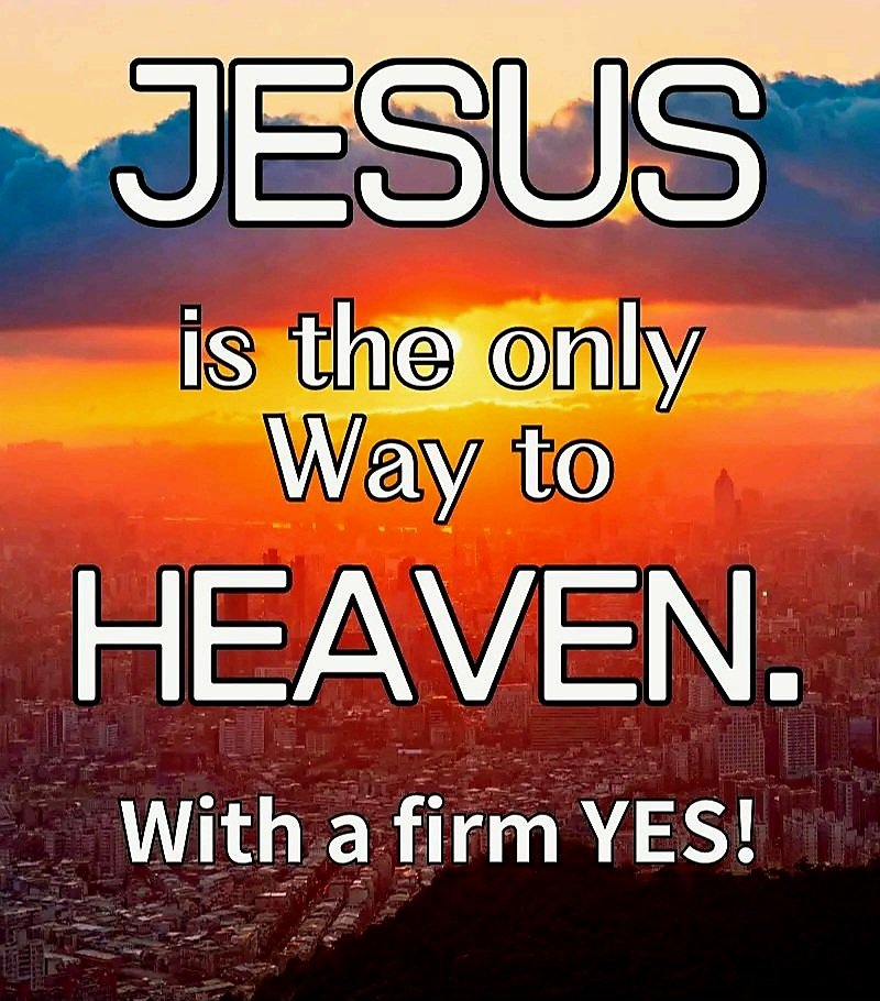 Jesus saith unto him, I am the way, the truth, and the life: no man cometh unto the Father, but by me.

John 14:6