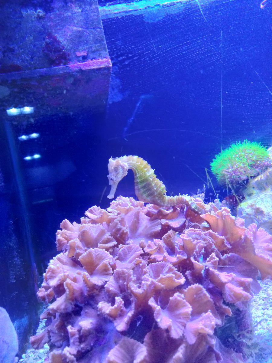 He's just a lil guy 🥺