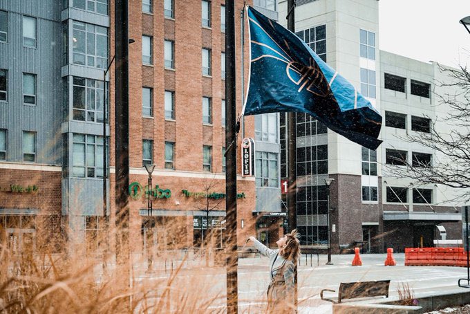 Mayor Leirion Gaylor Baird tweet media