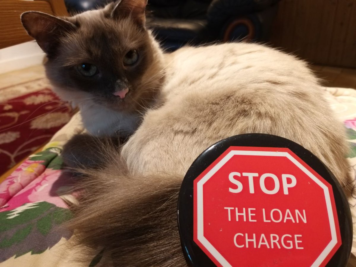 @TreasuryMog Good night @TreasuryMog, please have a word with @Jeremy_Hunt about #LoanChargeScandal.

MPs from all parties clear at #LoanChargeDebate, time to #StopTheLoanCharge.