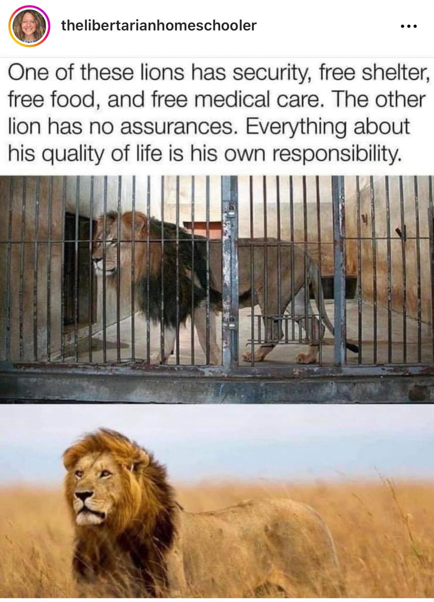 HarrisonHSmith's tweet image. My mom doesn’t often send me memes, but when she does they are bangers.