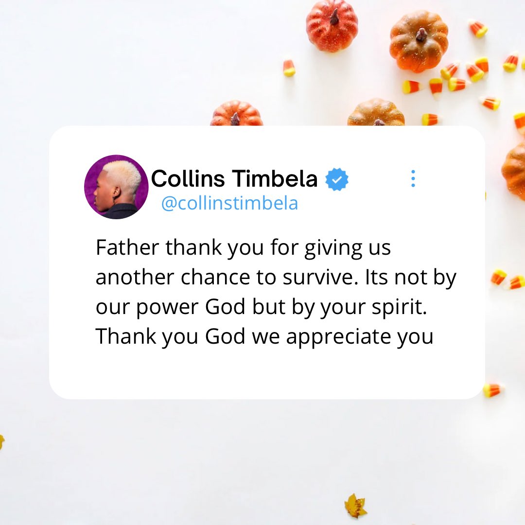 Collins🦋 tweet media