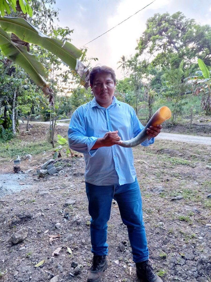 legonzalezj's tweet photo. #BalseriaLoro2024 #NgabeBugle #Oreribo https://t.co/TNxVy1xPao