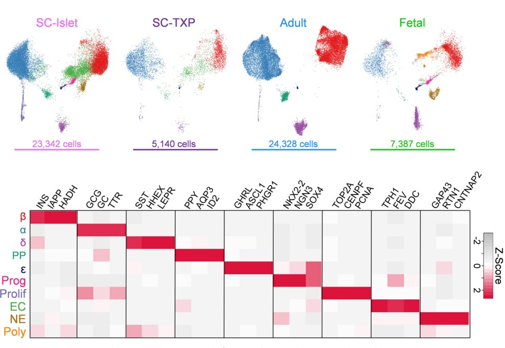Mason Schmidt tweet media