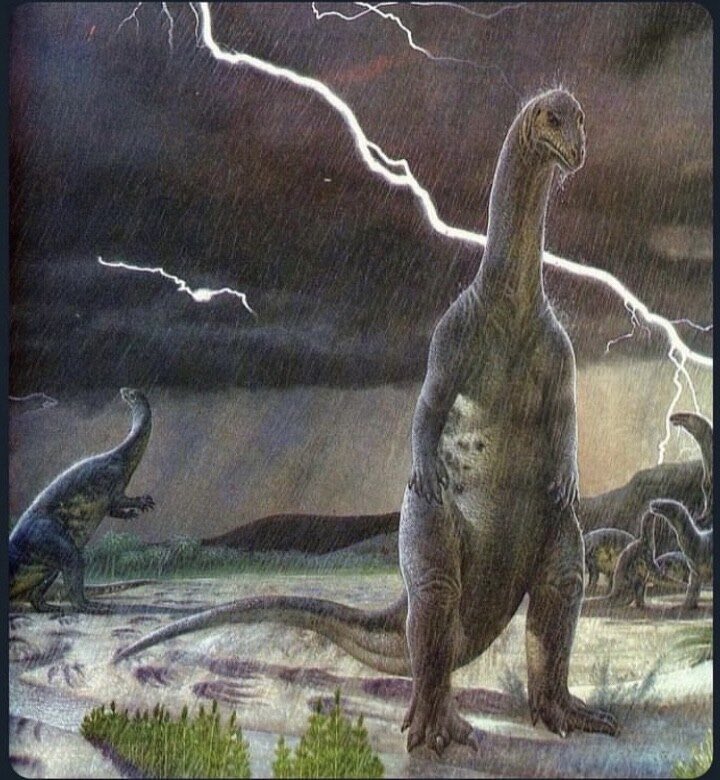 I don’t want another beer but that would leave one beer in the fridge