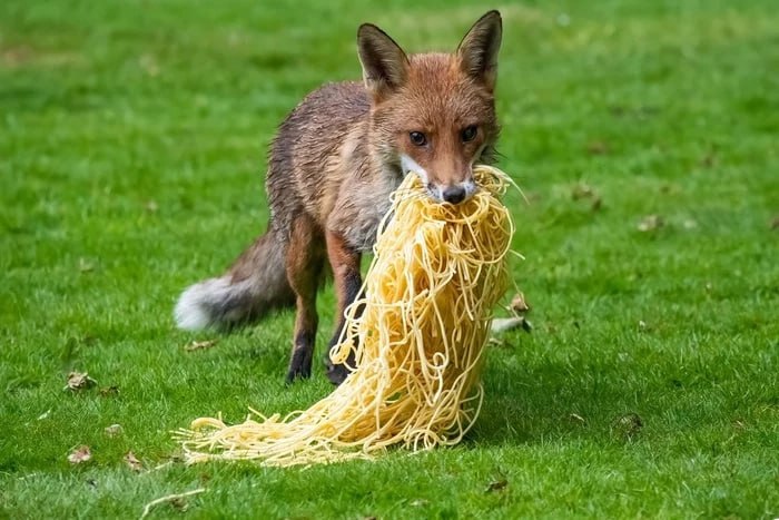 FopsHourly's tweet image. 