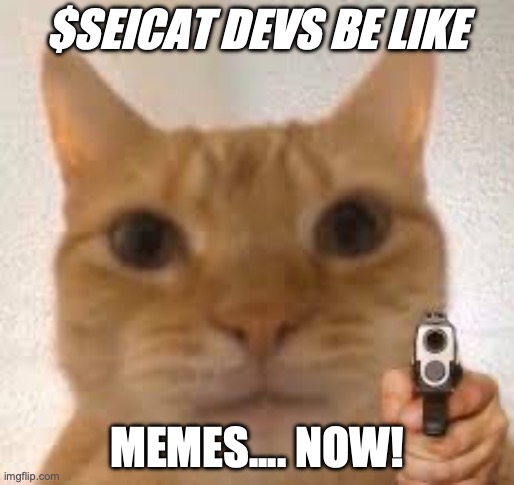 $SEICAT on Sei tweet media