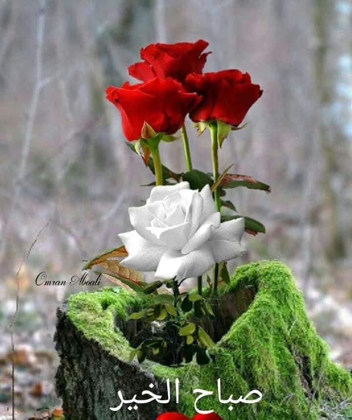 Ahmadwe87 (@ahmadwe87) on Twitter photo 
