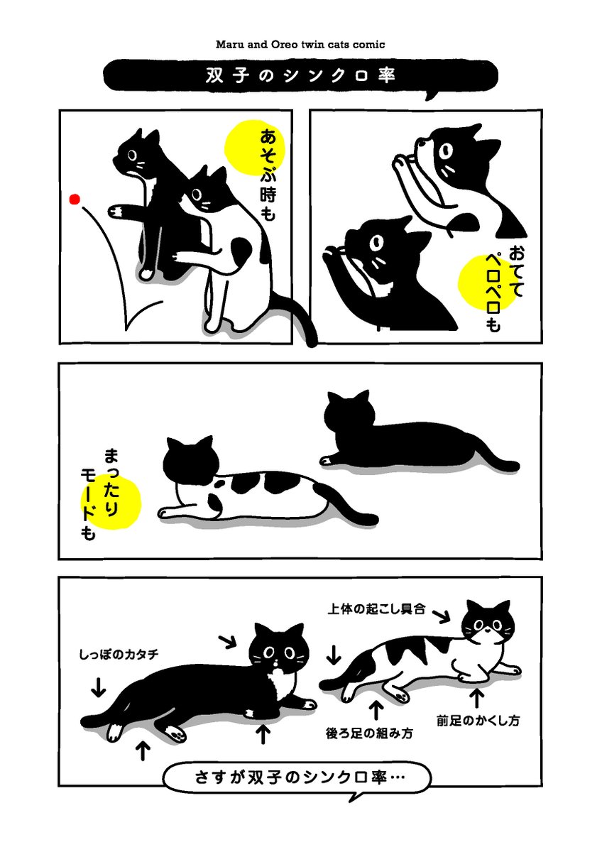 Maruore_comic's tweet photo. 【再掲】はんにん は いちもくりょうぜん でした…
@fuji_ayako
@umetokoume1
@famostaff

#漫画が読めるハッシュタグ 
#猫がいる幸せ 
#猫がいる生活 
#マルとオレオふたりはなかよし https://t.co/Ctd0iFzSjZ