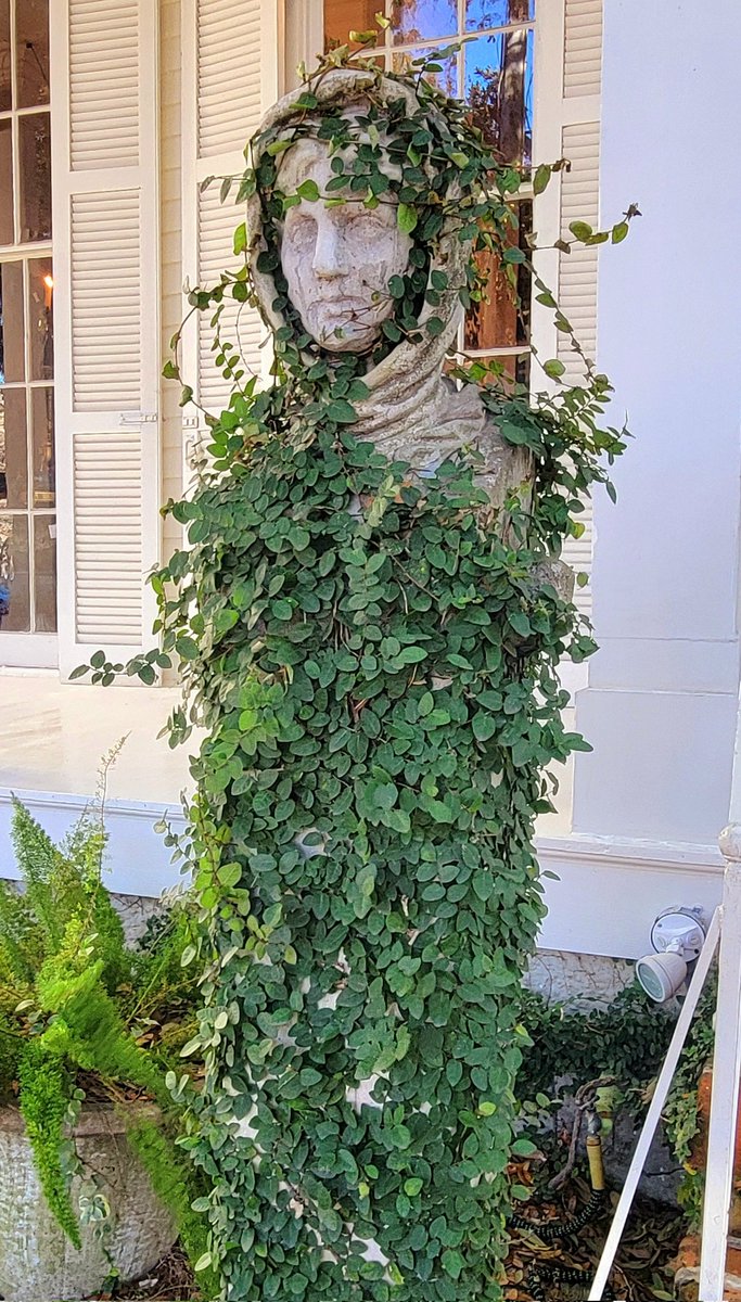 JPwhatever's tweet image. same