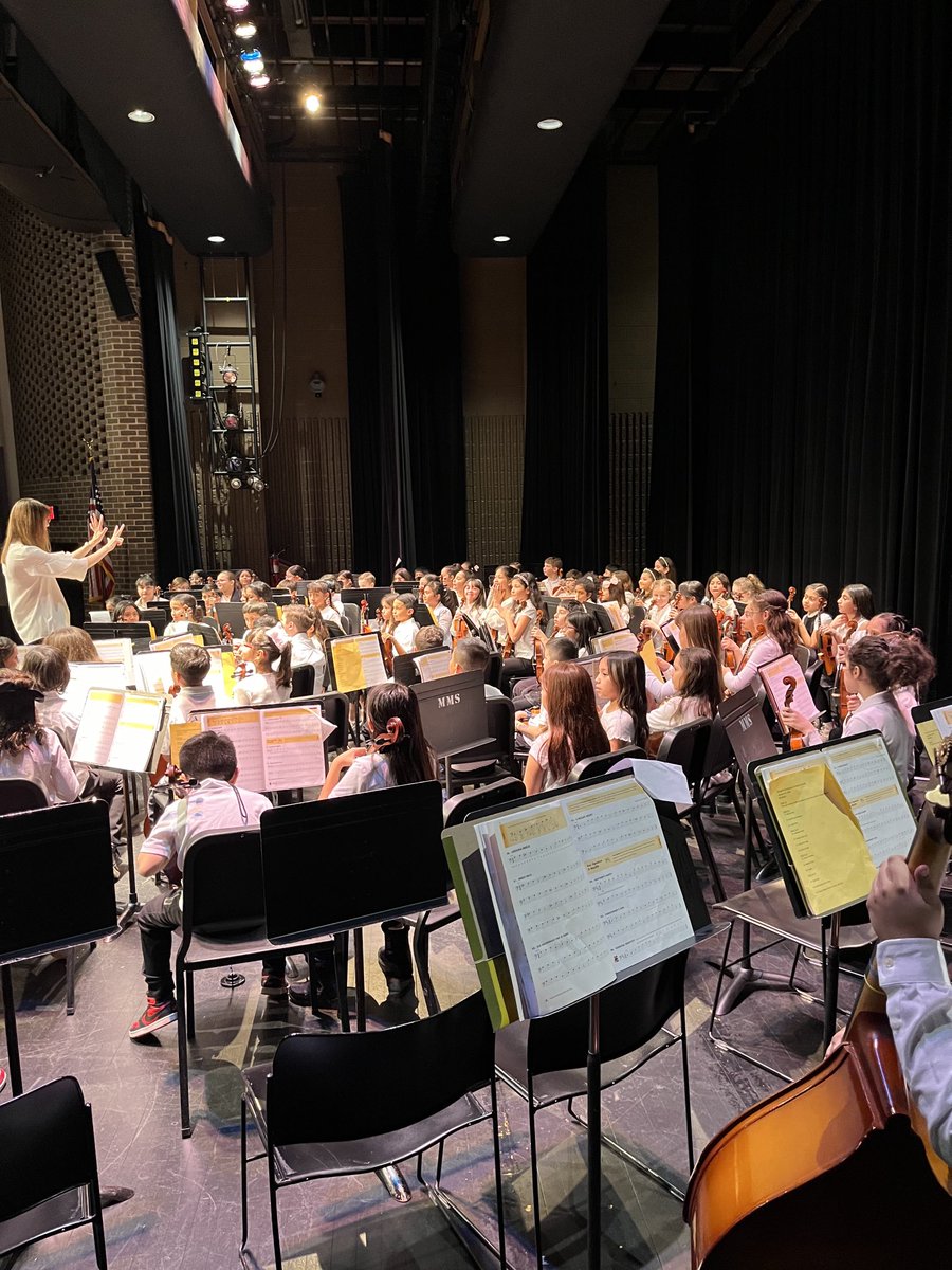 The Mannheim D83 Beginner Orchestra concert is a reality!!!! #d83shines