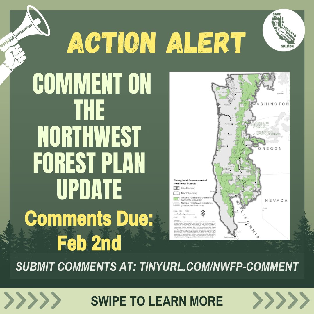 SaveCaliSalmon's tweet image. Comments on the update to the Northwest Forest Plan are due on Feb. 2nd. The plan applies to public lands in Washington, Oregon &amp;amp; Northern California. 
When the NWFP plan was created Tribal management &amp;amp; Traditional knowledge was not considered
#landback #fireback #NativeAmerican