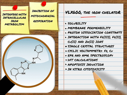 bhkenlo's tweet photo. A Comparative Study on the Complexation of the Anticancer Iron Chelator VLX600 with Essential Metal Ions | Inorganic Chemistry https://t.co/n9B6KV5lxI @KowolLab @EnyedyLab and co-workers @InorgChem #iron #VLX600 #chelator #anticancer #speciatio #Cu #Fe #Zn https://t.co/oAzun1aCST