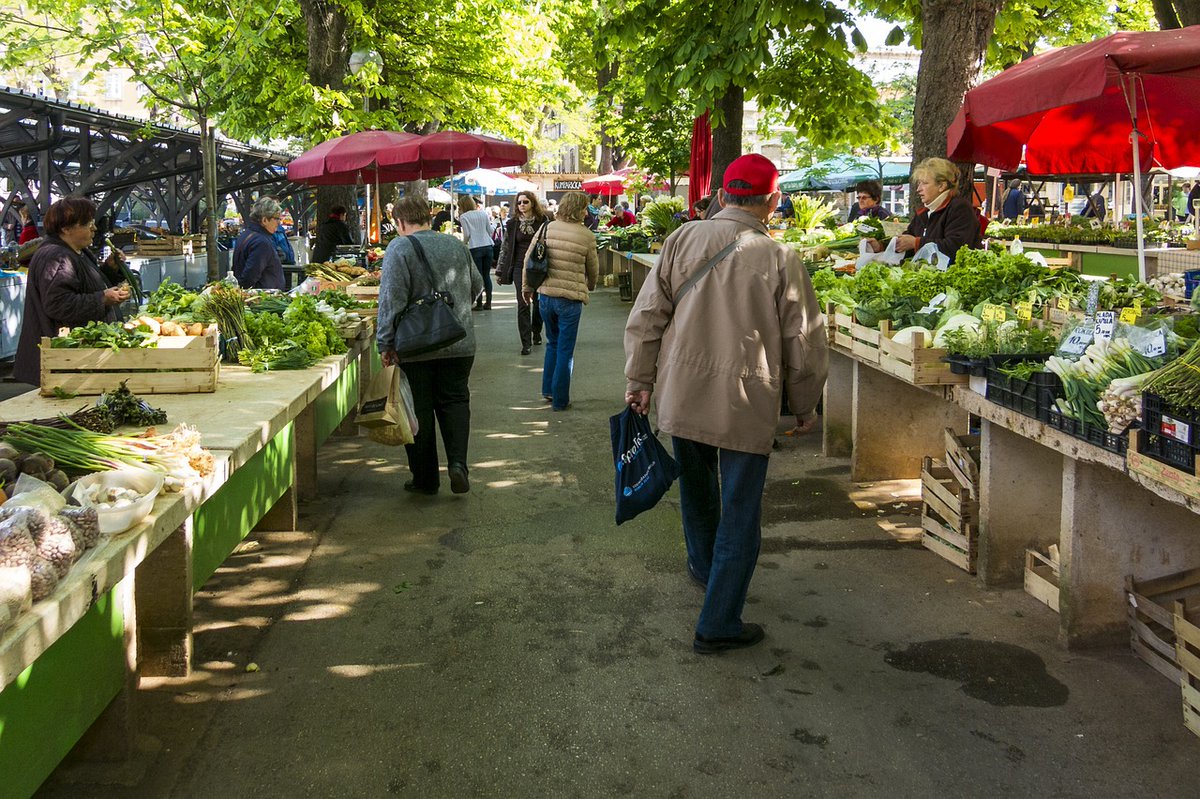 Have you ever thought about selling your homegrown crops? 🌻

This guide on market gardening has a list of some of the most lucrative crops for small spaces: zerowastehomestead.com/8-most-profita…

#marketgardening #farmersmarkets #growingsaffron #smallspacegarden