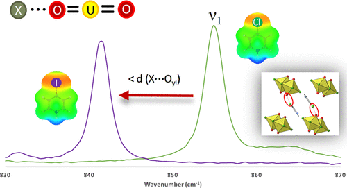 bhkenlo's tweet image. Structural, Spectroscopic, and Computational Analysis of Halogen- and Hydrogen-Bonding Effects within a Series of Uranyl Fluorides with 4-Halopyridinium pubs.acs.org/doi/10.1021/ac… @Cahill_ArlVa and co-workers @InorgChem #uranyl #fluorides #halopyridinium #chain #DFT #ESPs #NBO