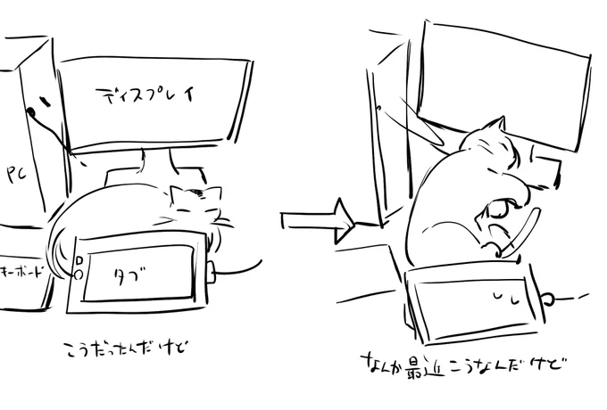 ねこ図 