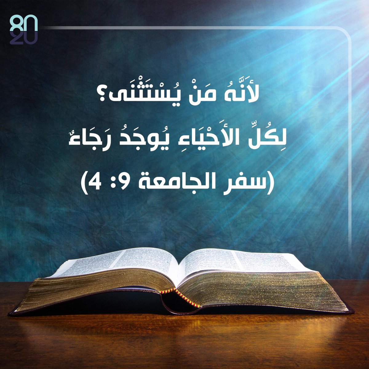 emad Abdelmalak (@emad92422281) on Twitter photo 